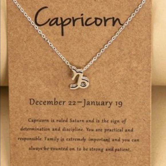 Capricorn Necklace - Zodiac/Astrology/horoscopes - Picture 2 of 2